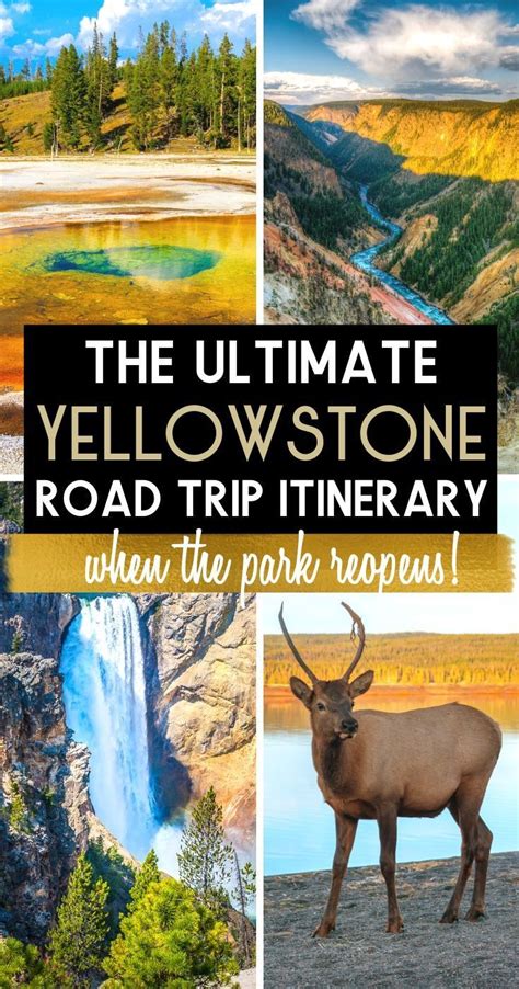 Planning a trip to yellowstone. Things To Know About Planning a trip to yellowstone. 